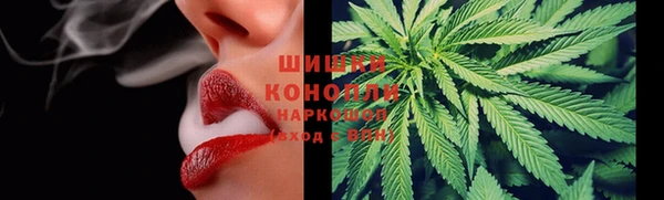 шишки Нефтегорск
