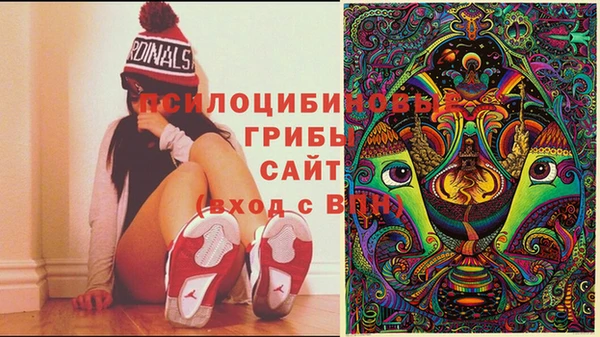 тгк Новокубанск