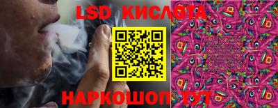 бошки Дубна